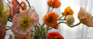 Poppies bouquet